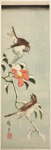 Passeri e camelia nella neve da Utagawa Hiroshige