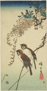 Passeri e glicine da Utagawa Hiroshige