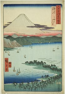 Provincia di Suruga: Il boschetto di pini a Miho (Suruga, Miho no matsubara), dalla serie "Luoghi famosi nelle sessanta e più province (Rokujuyoshu meisho zue)" da Utagawa Hiroshige
