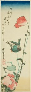 Rondine e Papaveri da Utagawa Hiroshige
