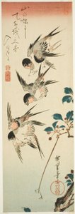 Rondini e fiori di ciliegio da Utagawa Hiroshige