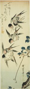 Rondini e ramo fiorito da Utagawa Hiroshige