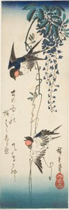 Rondini e glicine da Utagawa Hiroshige