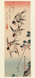 Tanzaku, Quattro rondini, 1832 da Utagawa Hiroshige