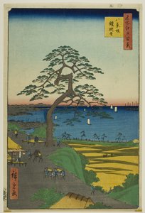 Il pino dalle corazze di Hakkeizaka (Hakkeizaka Yoroikakematsu), dalla serie "Cento vedute famose di Edo (Meisho Edo hyakkei)". da Utagawa Hiroshige