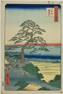 Il pino dalle corazze di Hakkeizaka (Hakkeizaka Yoroikakematsu), dalla serie "Cento vedute famose di Edo (Meisho Edo hyakkei)".