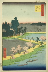 Gli alberi di canfora intrecciati al Santuario di Azuma, dalla serie "Cento Vedute Famosi di Edo" da Utagawa Hiroshige