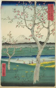 I dintorni di Koshigaya nella provincia di Musashi (Musashi Koshigaya zai), dalla serie "Trentasei vedute del Monte Fuji (Fuji sanjurokkei)" da Utagawa Hiroshige