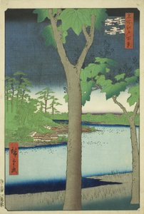 Il boschetto di Paulownia ad Akasaka (Akasaka Kiribatake), dalla serie "Cento vedute famose di Edo (Meisho Edo hyakkei)" da Utagawa Hiroshige