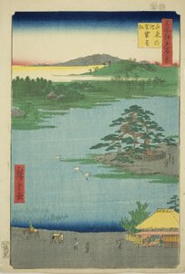 Il pino appendiabiti allo stagno di Senzoku (Senzoku no ike Kesakakematsu), dalla serie "Cento vedute famose di Edo (Meisho Edo hyakkei)" da Utagawa Hiroshige