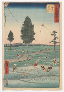 Ventotto, Fukuroi, periodo Edo, 1855