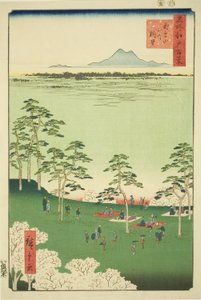 Vista a nord dalla collina di Asuka (Asukayama kita no chobo), dalla serie "Cento vedute famose di Edo (Meisho Edo hyakkei)"