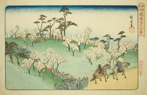 Ammirando i Fiori di Ciliegio alla Collina di Asuka (Asukayama hanami), dalla serie "Luoghi Famosi di Edo (Koto meisho)" da Utagawa Hiroshige