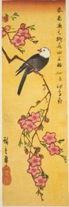 Uccello dalla testa bianca su ramo di pesco da Utagawa Hiroshige