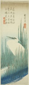 Airone bianco e pennelli da Utagawa Hiroshige