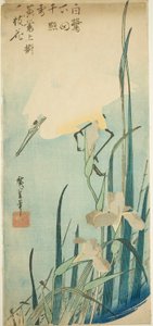 Airone bianco e iris da Utagawa Hiroshige