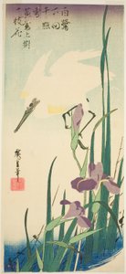 Airone bianco e iris da Utagawa Hiroshige