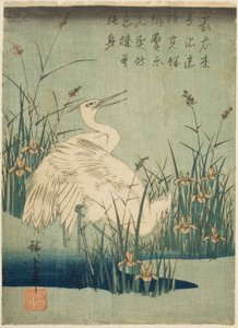 Aironi bianchi e iris da Utagawa Hiroshige