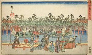 Glicine a Kameido (Kameido Tenjin fuji hana), dalla serie "Luoghi famosi nella capitale orientale (Toto meisho)" da Utagawa Hiroshige