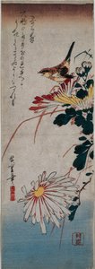 Scricciolo e crisantemi da Utagawa Hiroshige