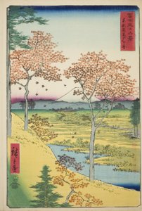 Collina Yuhi a Meguro nella Capitale Orientale (Toto Meguro Yuhigaoka), dalla serie "Trentasei vedute del Monte Fuji (Fuji sanjurokkei)" da Utagawa Hiroshige