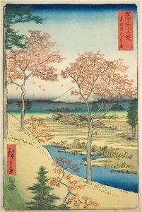Collina Yuhi a Meguro nella capitale orientale (Toto Meguro Yuhigaoka), dalla serie "Trentasei vedute del Monte Fuji (Fuji sanjurokkei)" da Utagawa Hiroshige