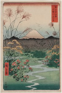 Pianura di Ōtsuki nella Provincia di Kai, dalla serie Trentasei Vedute del Monte Fuji da Utagawa Hiroshige