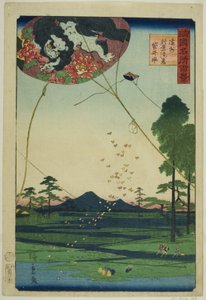 Aquiloni di Fukuroi e Vista Distante di Akiba nella Provincia di Totomi, dalla serie "Cento Vedute Famose nelle Varie Province" da Utagawa Hiroshige II