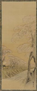 Paesaggio: ciliegi in fiore lungo le rive di un ruscello, periodo Edo, 1615-1868