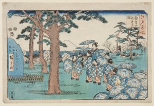 Visita ai ciliegi in fiore sulla collina di Asuka da Utagawa II Hiroshige