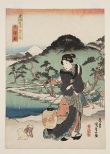 Vista di Hiratsuka