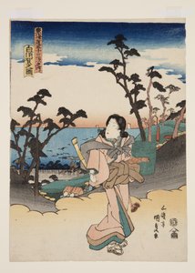 Veduta di Shirasuka