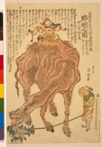 Un cammello, pub. 1824 da Utagawa Kuniyasu