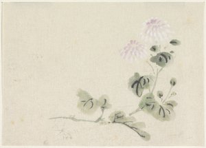 Crisantemi bianco-viola da Utagawa Kuniyoshi