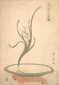 Composizione Floreale di Narcisi Suisen in un Piatto Verde Piatto