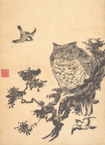 Gufo e due rondini da Utagawa Toyohiro