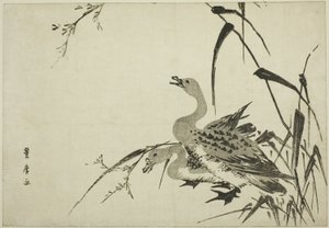 Oche selvatiche e canne da Utagawa Toyohiro