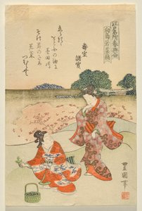 Raccolta di erbe a Mukōjima, dalla serie Siti famosi di Edo in primavera