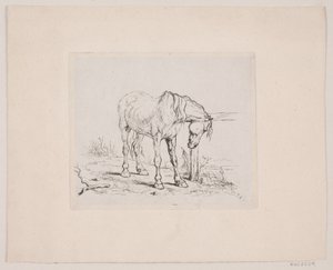 Un vecchio cavallo da Valdemar Irminger