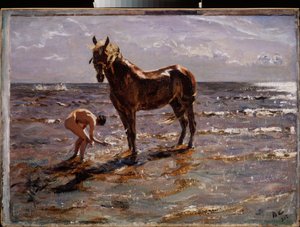 Il bagno del cavallo