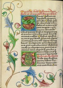 Iniziale decorata S; iniziale decorata G