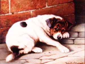 Un buon compagno