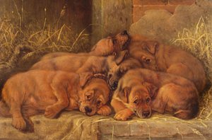 Amore cucciolo da Valentine Thomas Garland