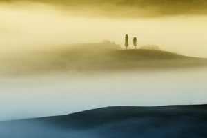Colline dorate avvolte nella nebbia da Vanja Tajnsek