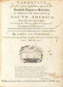 Narrativa di una Spedizione di Cinque Anni contro i Negri Rivoltosi del Suriname, in Guiana, sulla Costa Selvaggia del Sud America (volume II)