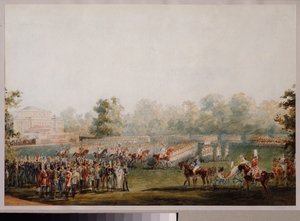 Rassegna militare sul prato del palazzo d