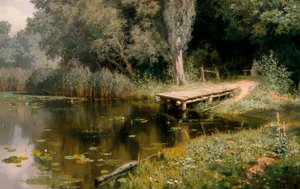 Il bacino invaso dalla vegetazione