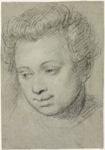 Testa di donna