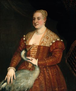 Immagine sconosciuta da Veronese