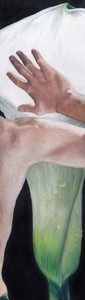 Mano che sfiora una calla